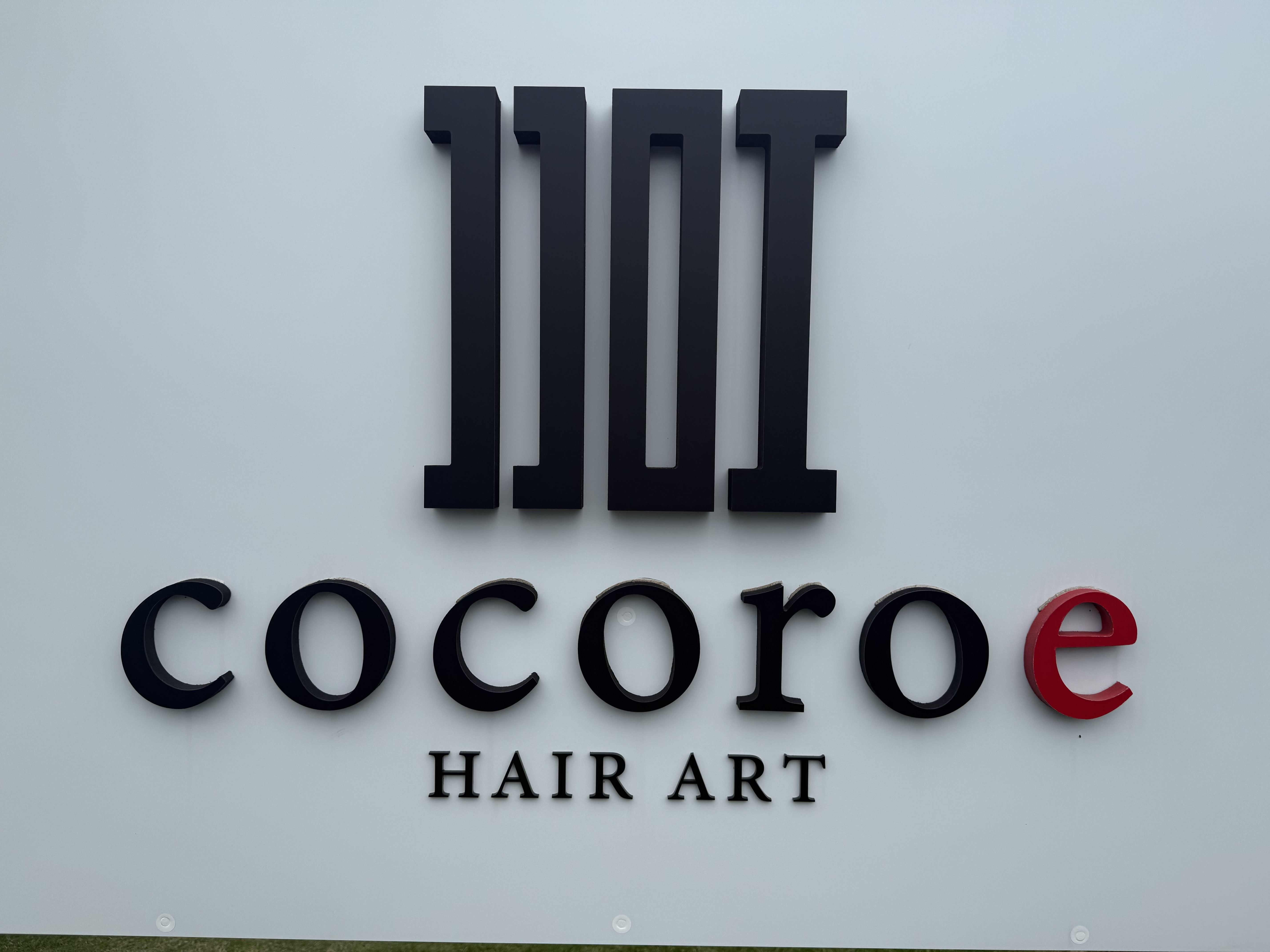 cocoroe1周年
